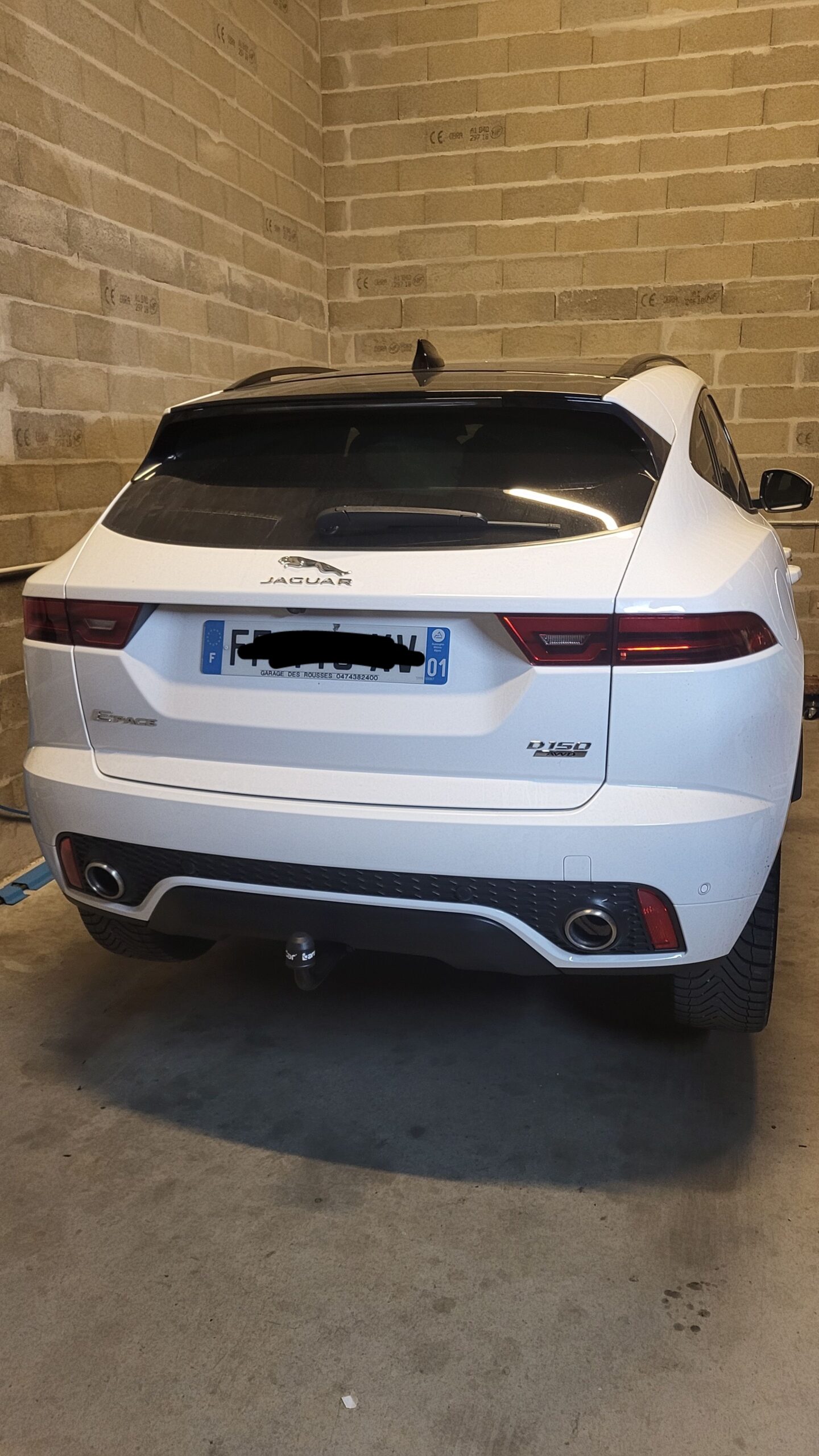 jaguar